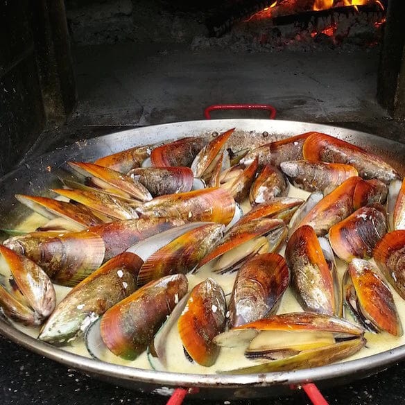 Authentic Pizza Ovens Pizza Oven Stone Arch Pizzaioli Premium Pizza Oven